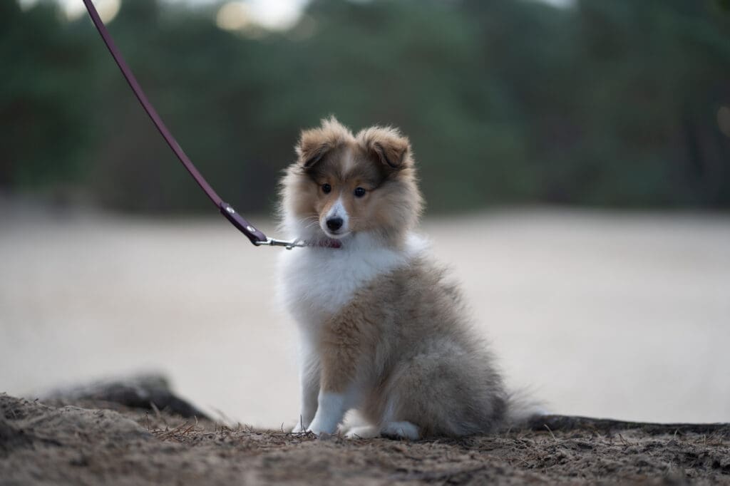 lightroom vs photoshop