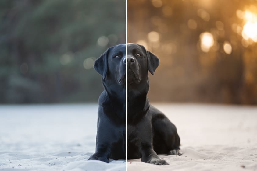 workshop fotobewerking