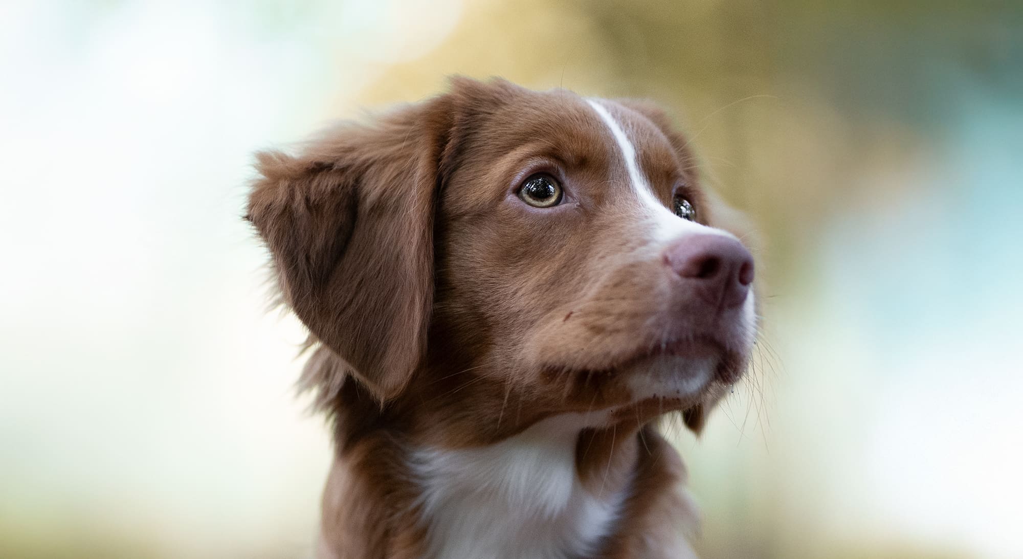 ogen bewerken photoshop lightroom