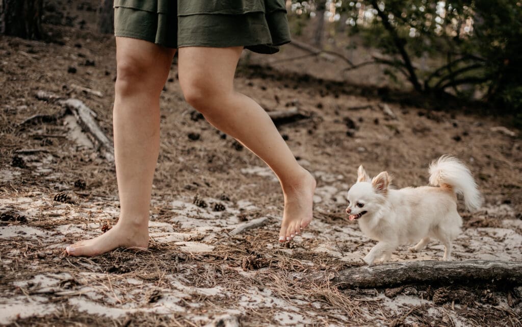 storytelling hondenfotografie